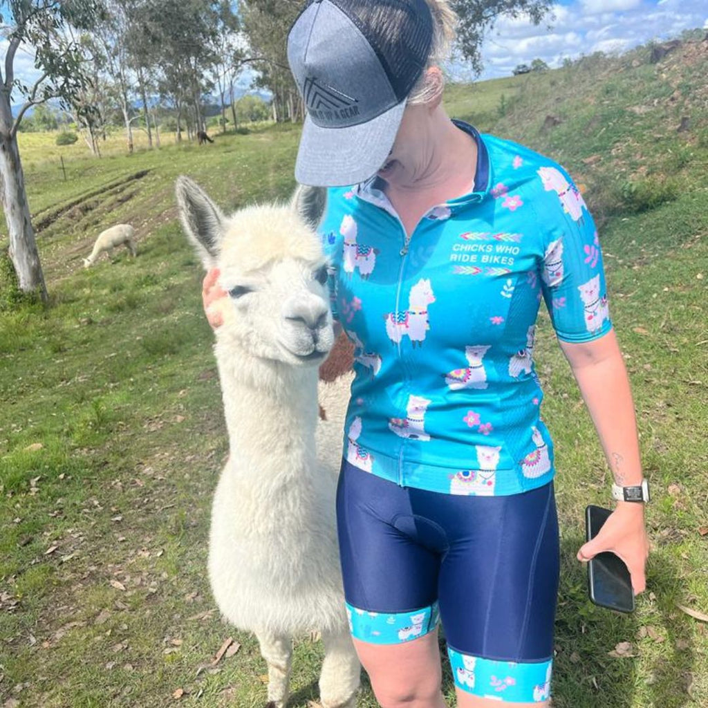 no drama llama cycling shorts with a llama